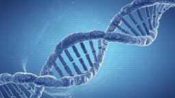 Nutritional Needs and Cellular Function