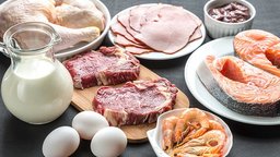 Protein’s Critical Role in Body Composition