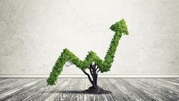 Fisher and Price: The Growth-Stock Investors
