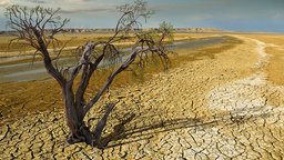Civilization, the Biosphere, and Tomorrow