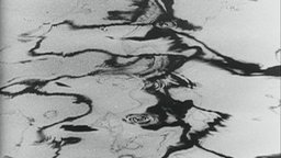 H2O