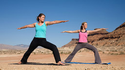 Iyengar Yoga