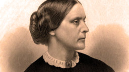 Build a Logical Case - Susan B. Anthony