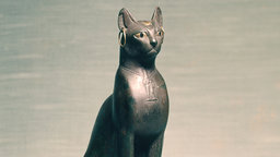 Animal Mummies