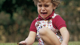 Developing Your Child's Emotional Intelligence