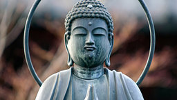 Mindfulness or Psychotherapy
