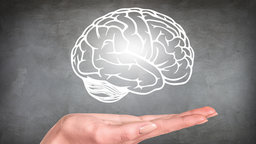 Modifying Our Brain Function and Structure