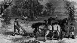 The Lure of Land