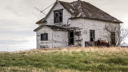 Searching in Your Ancestors' Backyards