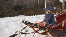 Dog Sled