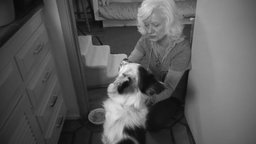 Last Stop in Santa Rosa - Profile on an Animal Hospice