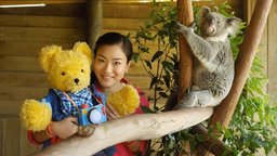 Koalas and Echidnas