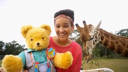 Giraffes