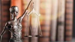 Litigation and the American Legal System