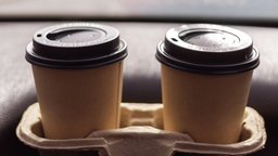 Punitive Damages and Their Limits