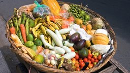 Food Matters