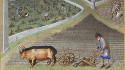 Manorial Society in Medieval Europe