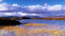 Evoking Setting and Place in Fiction