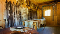 The Fur Trade and the Mountain Men