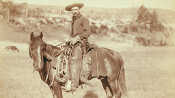 Cowboys and Cattle Drives