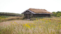 Homesteaders on the Plains