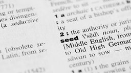 Five Principles for Learning Vocabulary