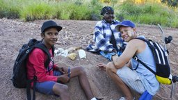 Honey Ants - Central Desert Alice Springs, Northern Territory