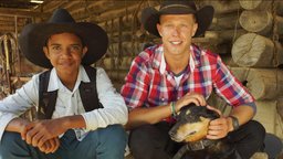 Cattle Mustering – Megalong Valley Blue Mountains, New South Wales - Megalong Valley Blue Mountains, New South Wales