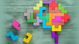 Components of Working Memory