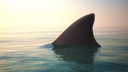 Suspense and Relief: Jaws