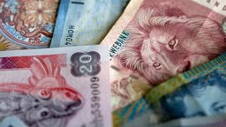 Investing in Foreign Assets