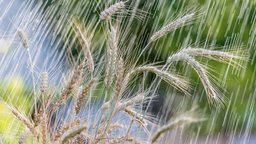 Linear Regression Models and Assumptions