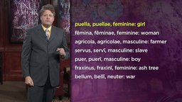 First- and Second-Declension Nouns