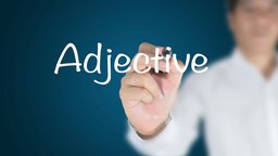 Interrogative Adjectives and Pronouns