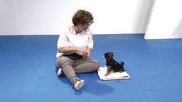 Getting the Behavior: Sit and Down