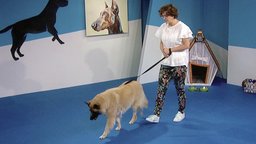 Impulse Control: Leave It, Wait, Leash Walking