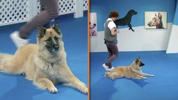 Impulse Control: Deepening Obedience