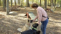 On The Road: Training in Public Spaces