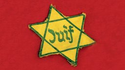 The Persistence of Anti-Semitism