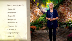Plant Nutrition: Evidence-Based Fertilizing
