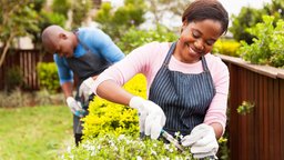 The Art and Science of Pruning