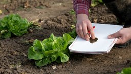 Gardening CSI: Case Studies