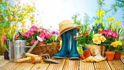 Applied Garden Science: Success Stories