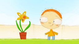 The Day Henry Met... A Daffodil
