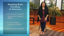 The Benefits of Brain Training