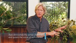 How Can You Find More Awe?
