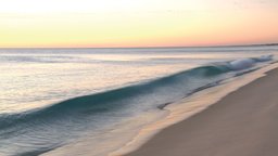 Blue Mind: The Healing Power of Water
