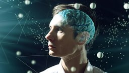Mindsight: Understanding Your Inner Life