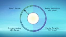 The Wheel of Awareness: A Model for Well-Being