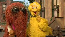 Big Bird and Snuffy Talent Show